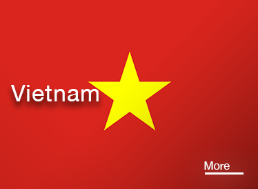 Vietnam Stocks